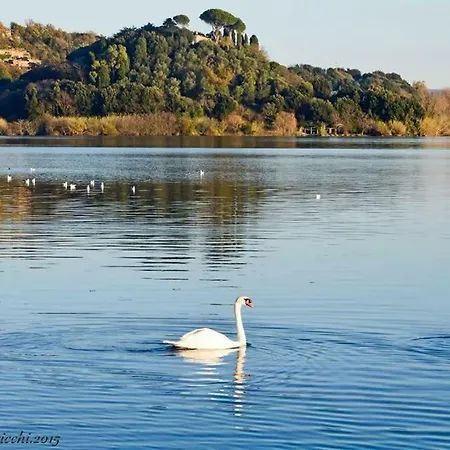 Pepe -lago Di Bracciano Lägenhet Trevignano Romano